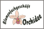 Orchidee Blumenfachgeschft